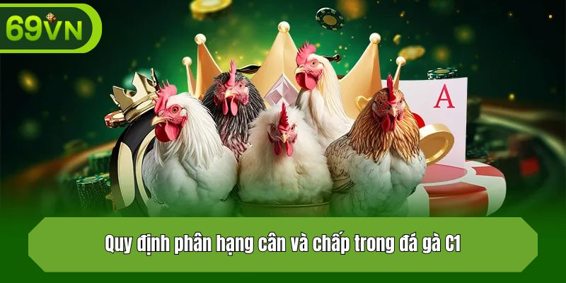 Quy định phân hạng cân và chấp trong đá gà C1