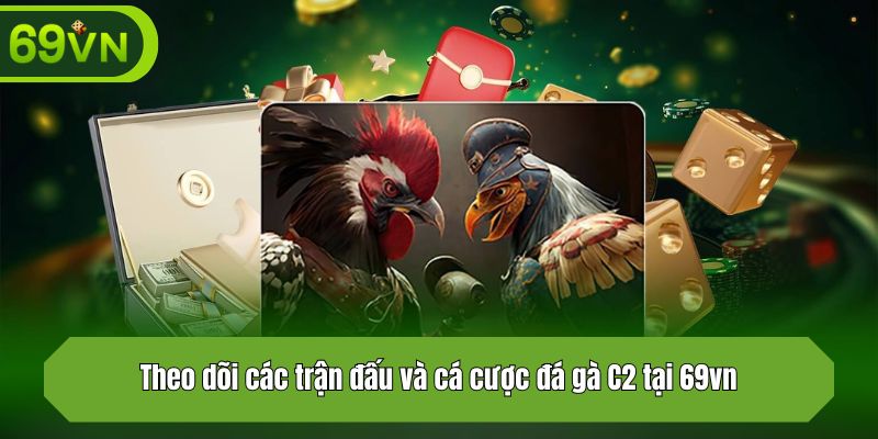 Theo dõi các trận đấu và cá cược đá gà C2 tại 69vn